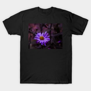 Purple Flower in the Dark - macro T-Shirt